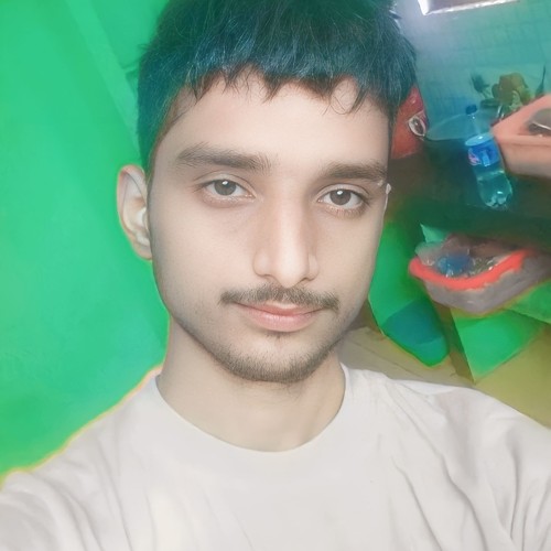 Rajan P. profile photo