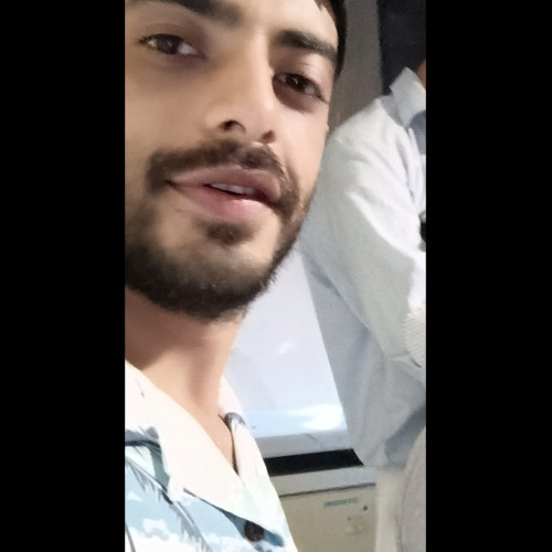 navid l. profile photo