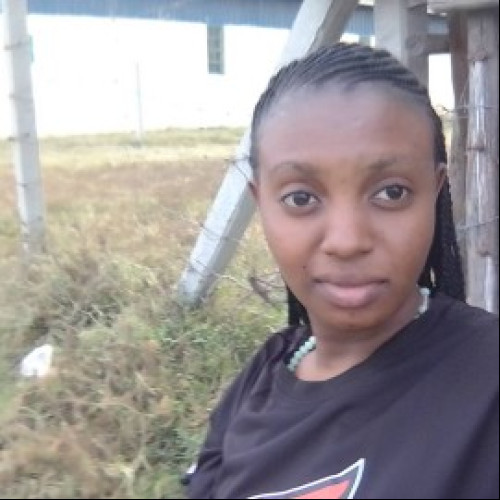 Lyne C. profile photo