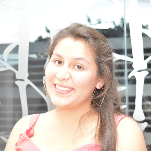 Isabella  P.