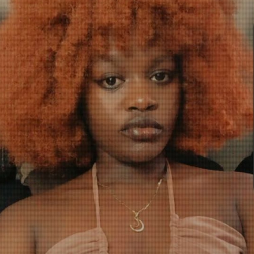 Kelly N. profile photo