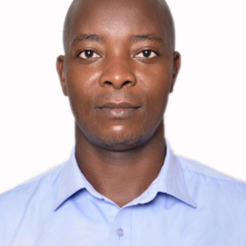 Robert  B. profile photo