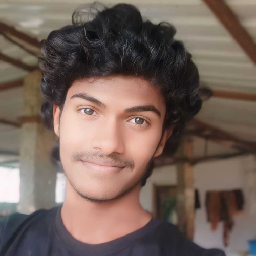 Vijay e.