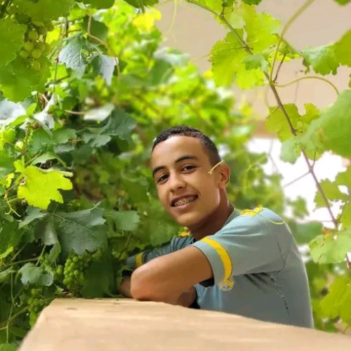 Mstafa A. profile photo