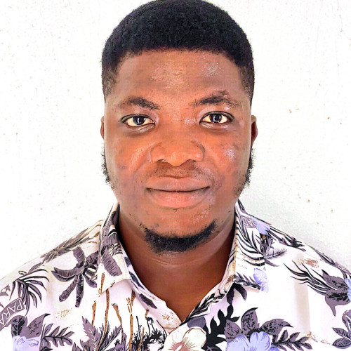 Olamide A. profile photo