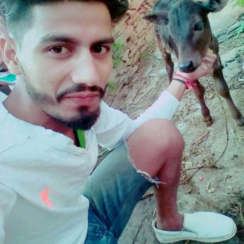 Mohit B.