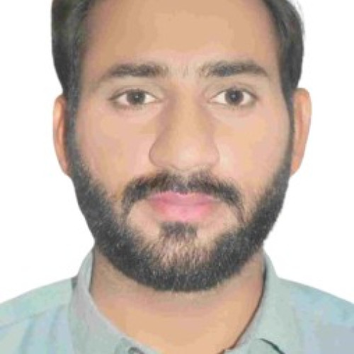 Gul Z. profile photo