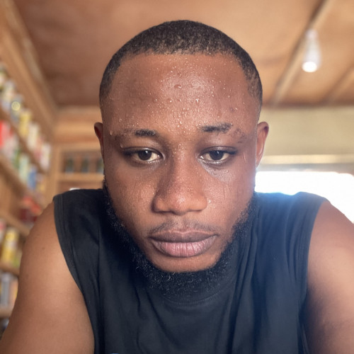 Olanrewaju A. profile photo