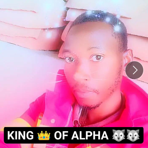 Bokamoso T. profile photo
