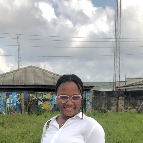 nwankwo  o. profile photo