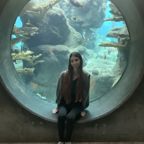 Tegan D. profile photo