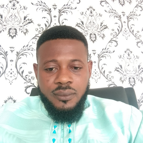 Olusegun  M. profile photo