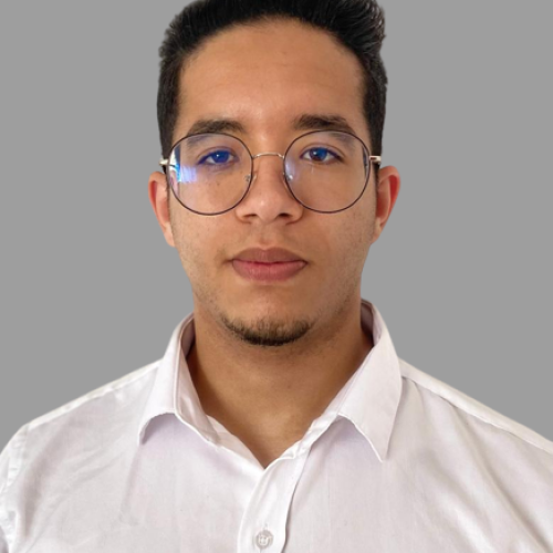 Mehdi R.