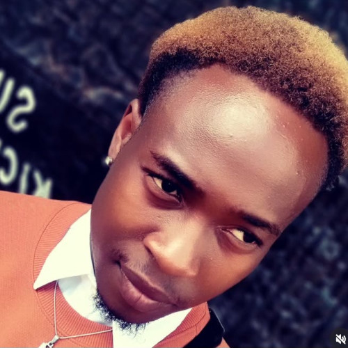 Hamyd E. profile photo