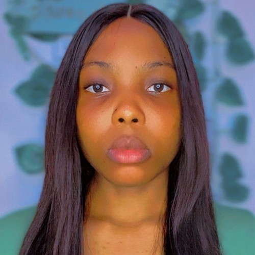 Adedotun D. profile photo