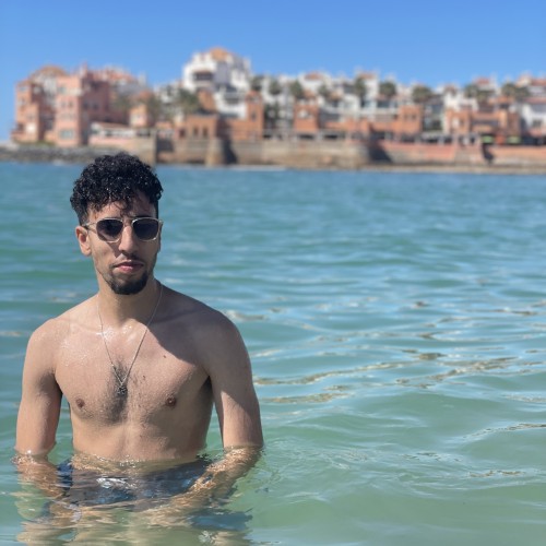 Abdelmalek M.