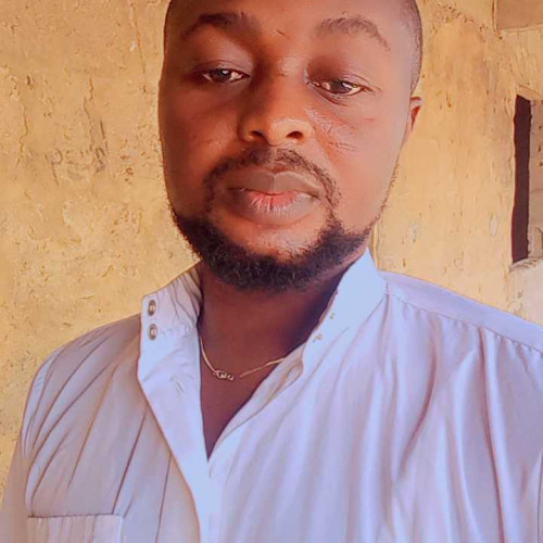 Damilare M. profile photo