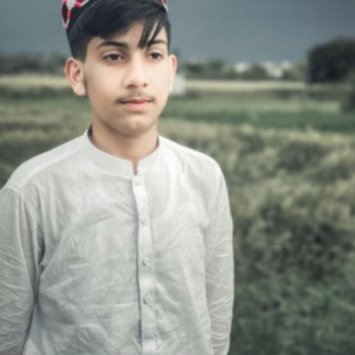 Wahab A. profile photo