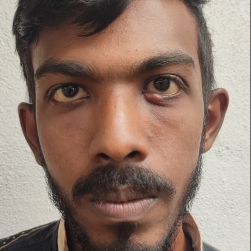 Pasindu  U. profile photo