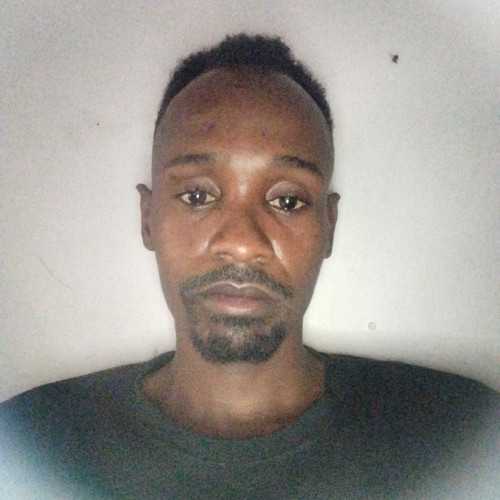 Peter K. profile photo