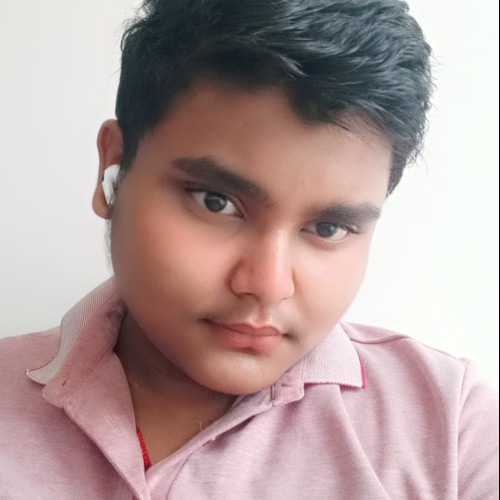 Anshit a. profile photo