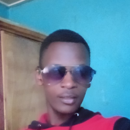 MICHAEL  N.