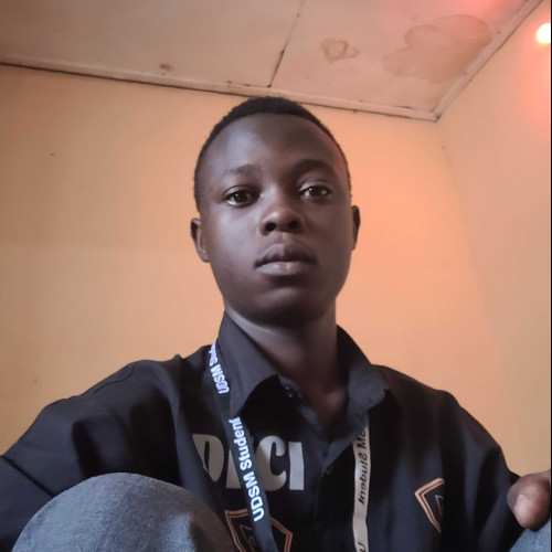 Ally M. profile photo