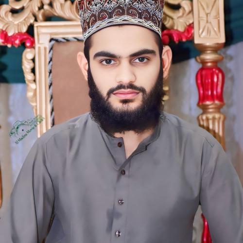 Touseef R. profile photo
