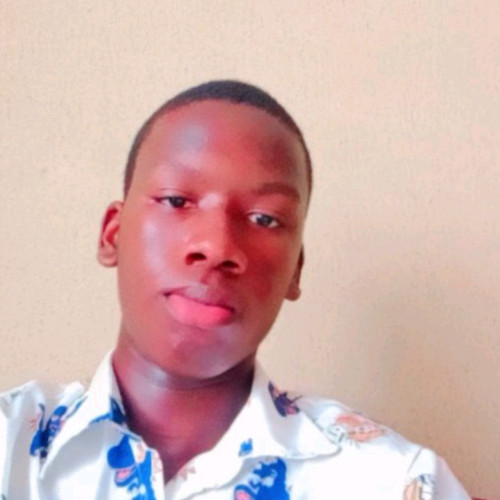 Osahon  O. profile photo