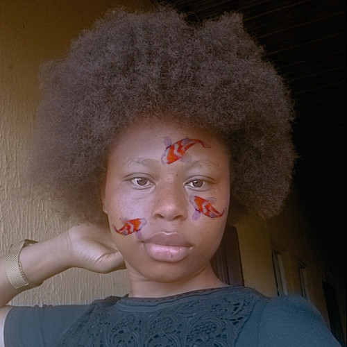 Chidera O. profile photo