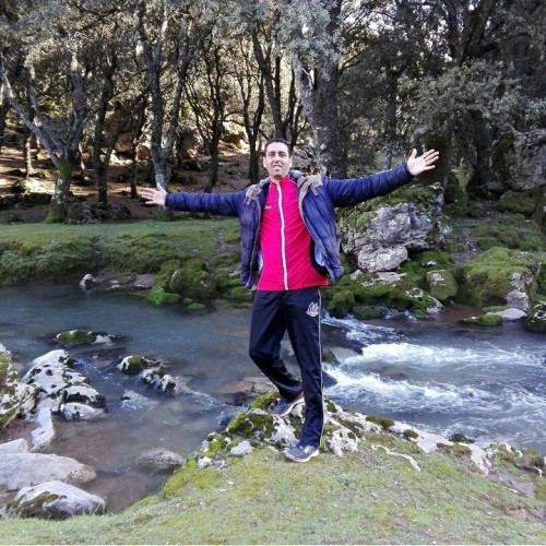 Ali D. profile photo