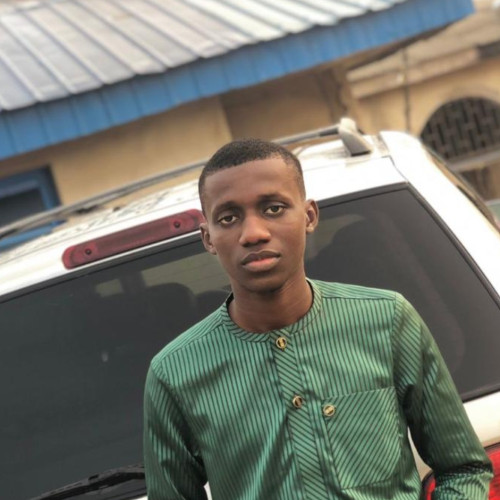 Olarewaju  S. profile photo