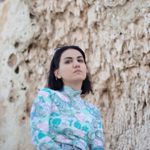 shaghayegh h.