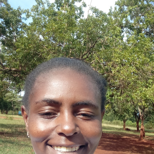 Diana  N. profile photo