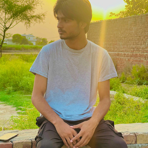 Ali H. profile photo