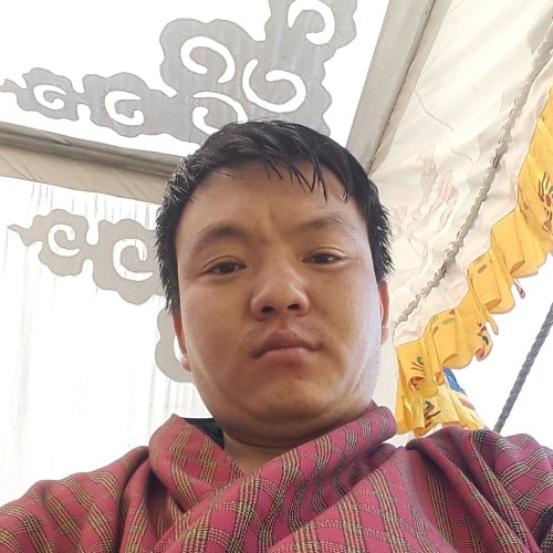Pema D.