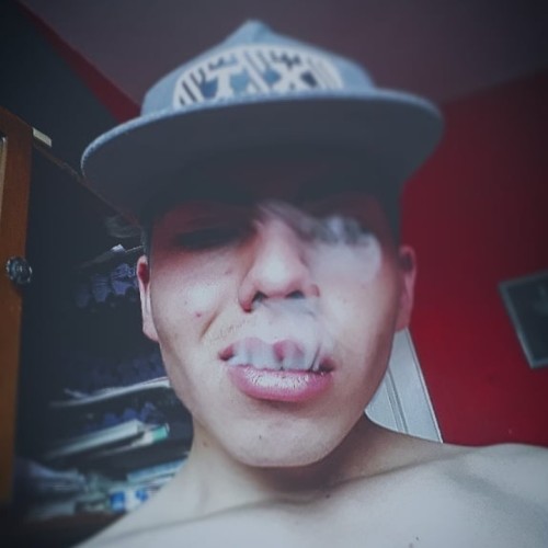 Bruno V. profile photo