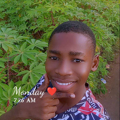 Chibuike S. profile photo