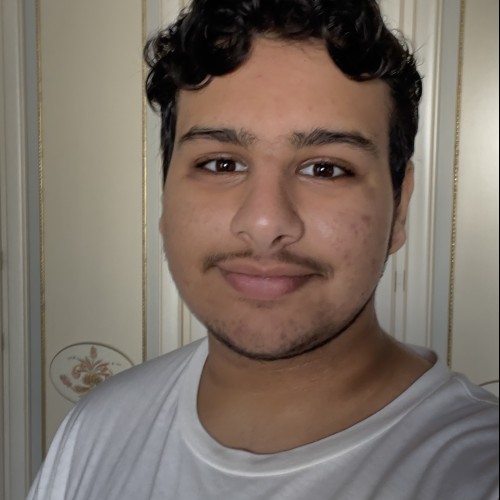 Hamed A.