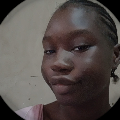 Durojaiye  O. profile photo