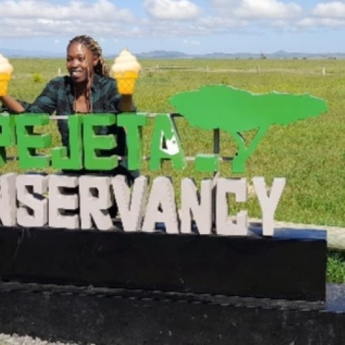 Lea O. profile photo