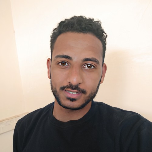 Mohamed A.
