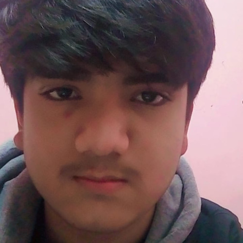 Zayan  A. profile photo
