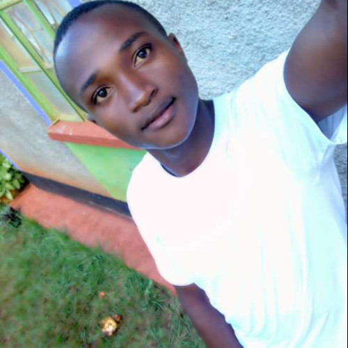 Kevin  M. profile photo