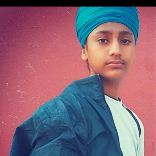 Narinder S. profile photo