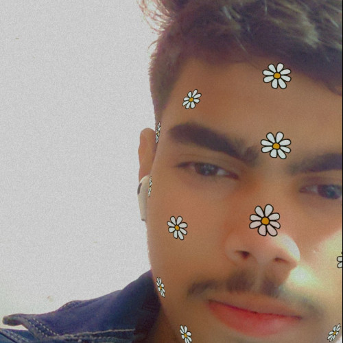 Subh K. profile photo
