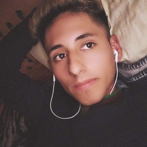 Alex M. profile photo