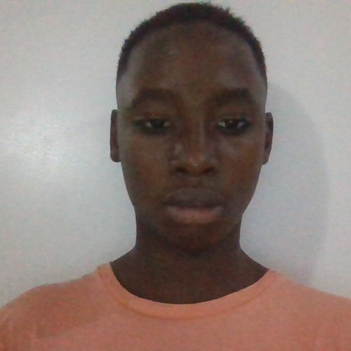 kamsi o. profile photo