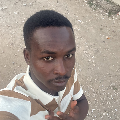 Showunmi A. profile photo