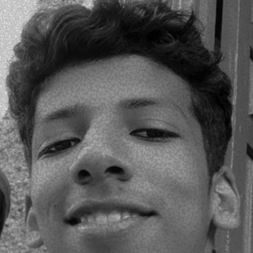 Ali Salem  N. profile photo